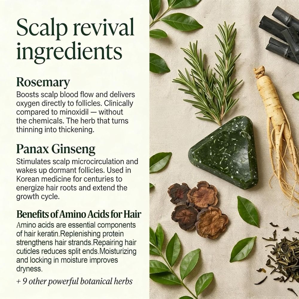 Rosemary Amino Acid Korean Sca - Hair Care Korean ulasan dan harga